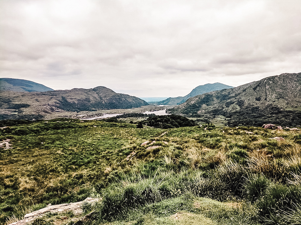 Lakes of Killarney, Ladies View, Killarney National Park, Killarney, Ring  of Kery, County Kerry, Stock Photo, Picture And Rights Managed Image. Pic.  RDC-AD-315117 | agefotostock